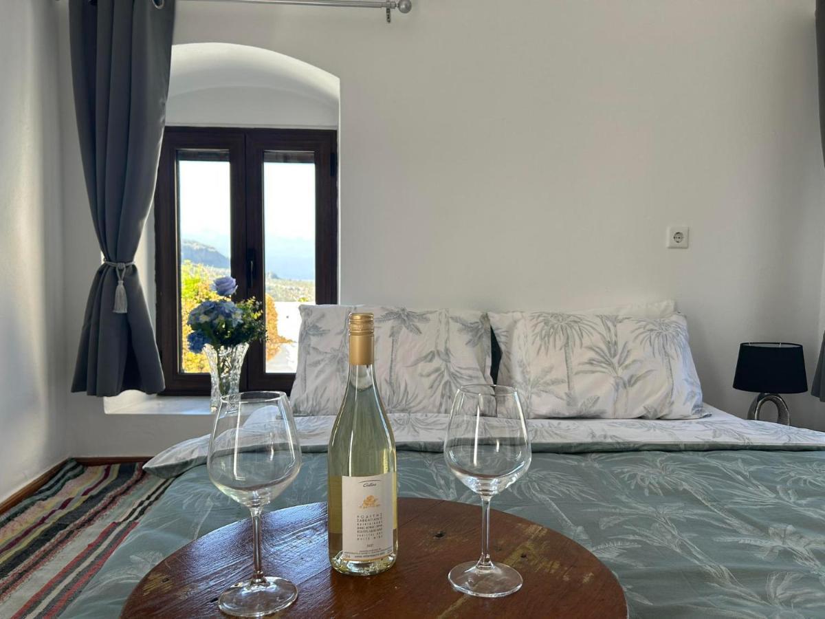 New 45 Renovated Apartment Líndos